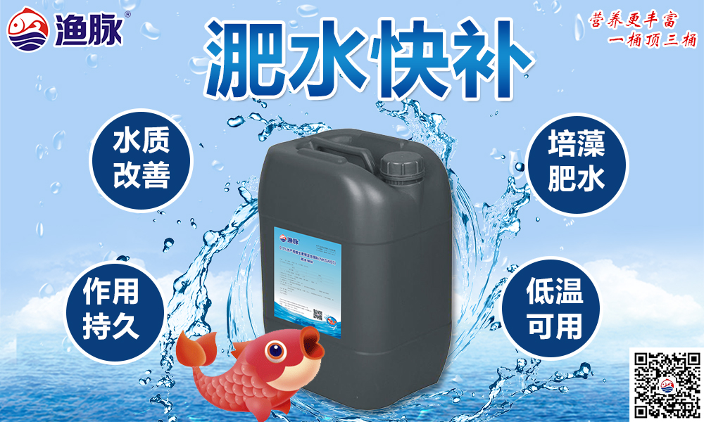 淝水快补.jpg