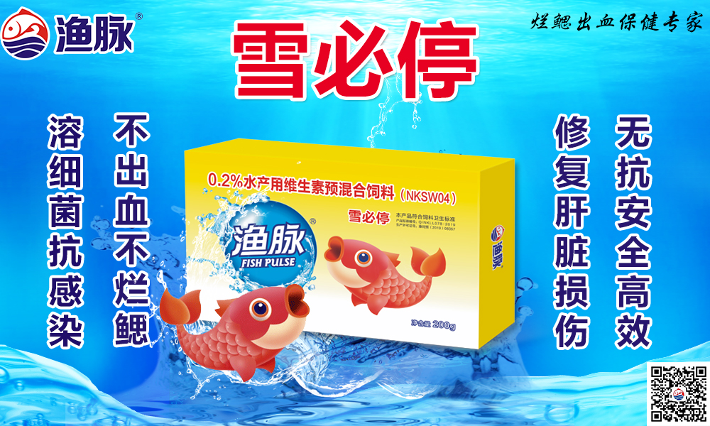 雪必停.jpg