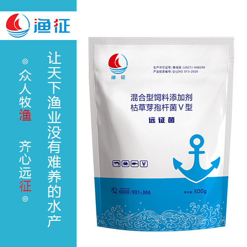 远征菌