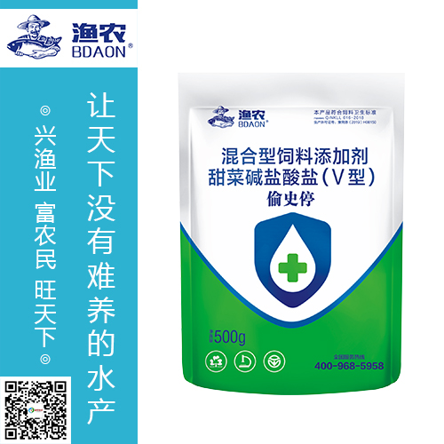 偷史停